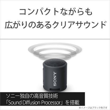 SONY Wireless Portable Speaker SRS-XB13 (B) [Black] 