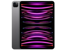 Apple アップル iPad Pro 11インチ 第4世代 2TB Wi-Fi MNYL3J/A スペースグレイ