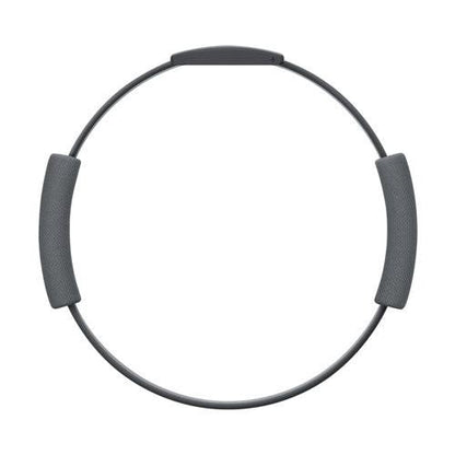 Nintendo Switch 健身环大冒险任天堂
